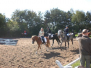 Herbstjagd 2007