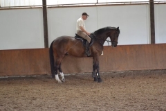 image_large 22