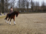 Springlehrgang 2015