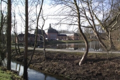 image_large 7
