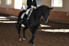 image_large
