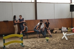 image_large 64
