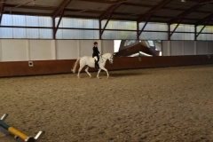 image_large 13