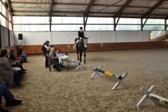 image_large 22
